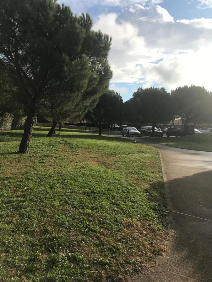 Appartement Entier T2 Avec Piscine Paradis Entierement Meuble Proche Metro Toulouse Exterior foto